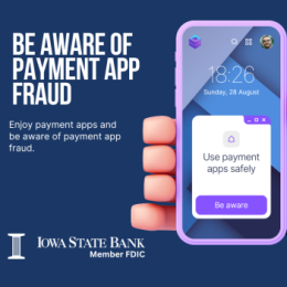 Use Payment Apps Safely