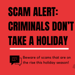 Criminals Don't Take a Holiday